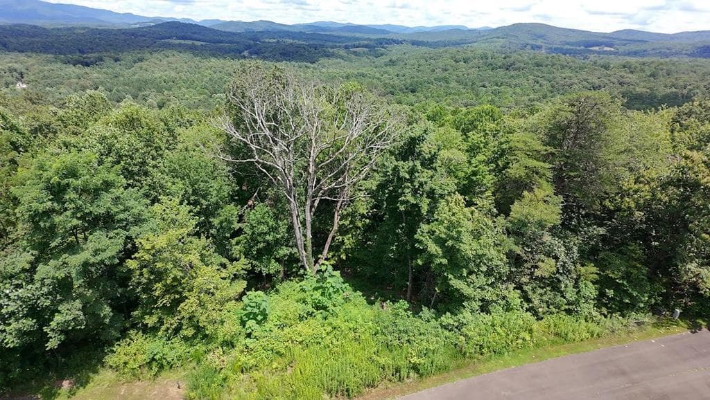 260 Running Bear Lane, Ellijay GA 30536 - Photo