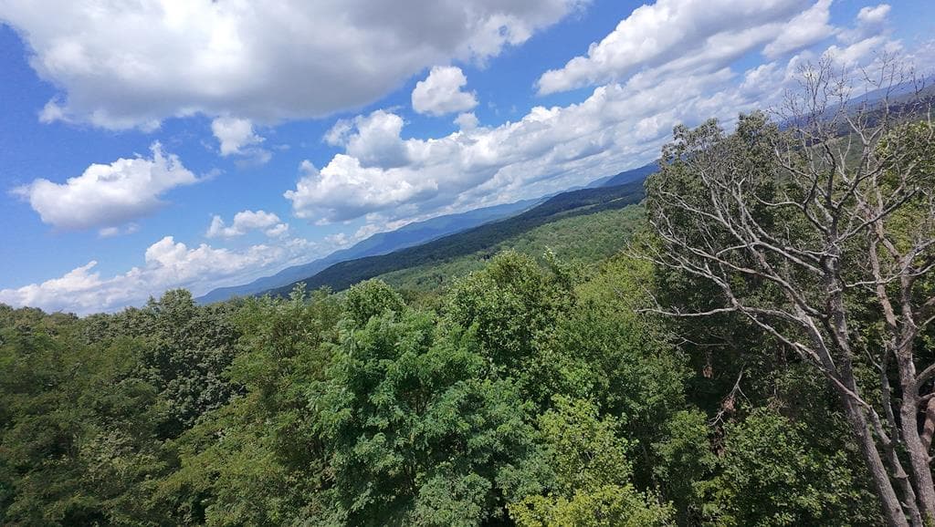 260 Running Bear Lane, Ellijay GA 30536 - Photo