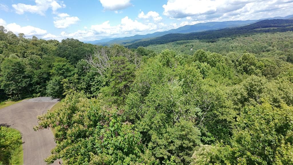 260 Running Bear Lane, Ellijay GA 30536 - Photo