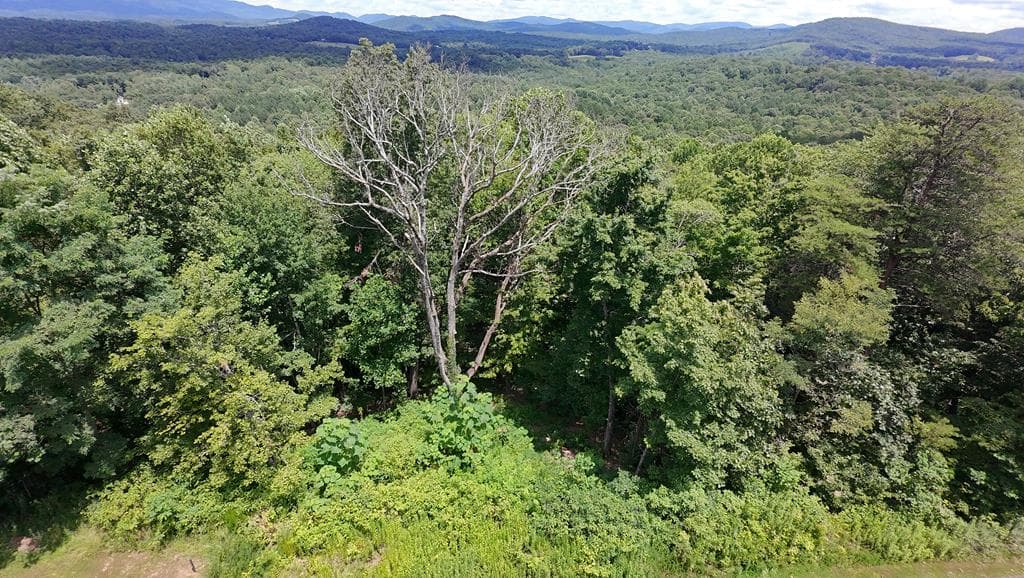 260 Running Bear Lane, Ellijay GA 30536 - Photo