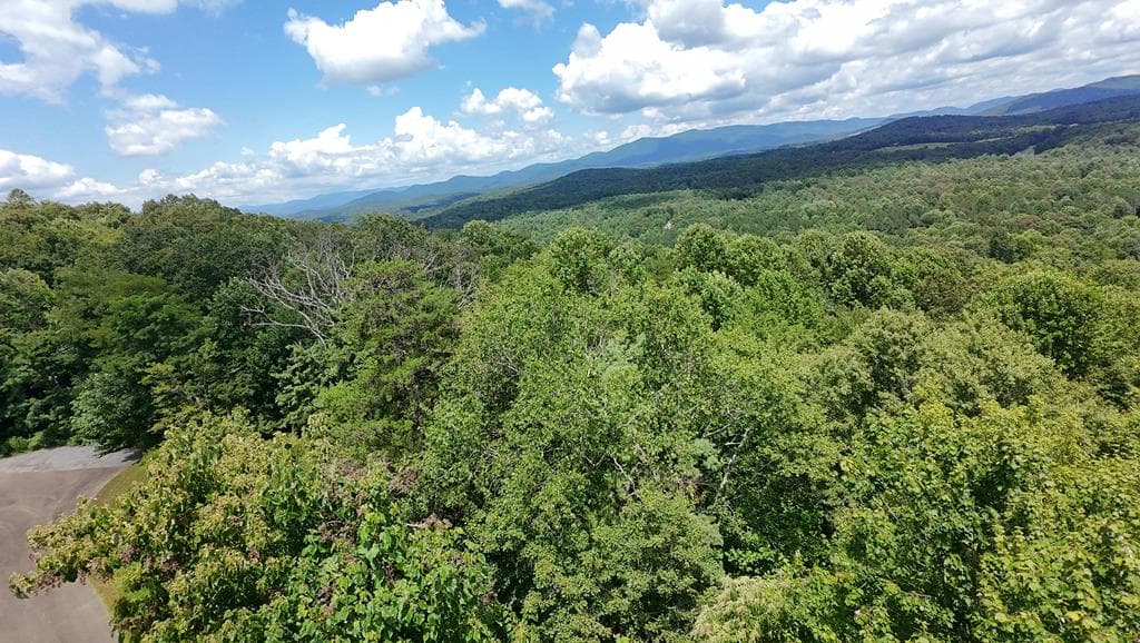 260 Running Bear Lane, Ellijay GA 30536 - Photo