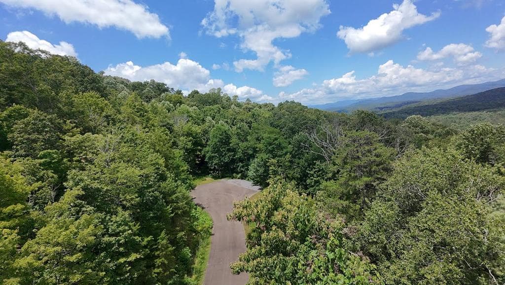 260 Running Bear Lane, Ellijay GA 30536 - Photo