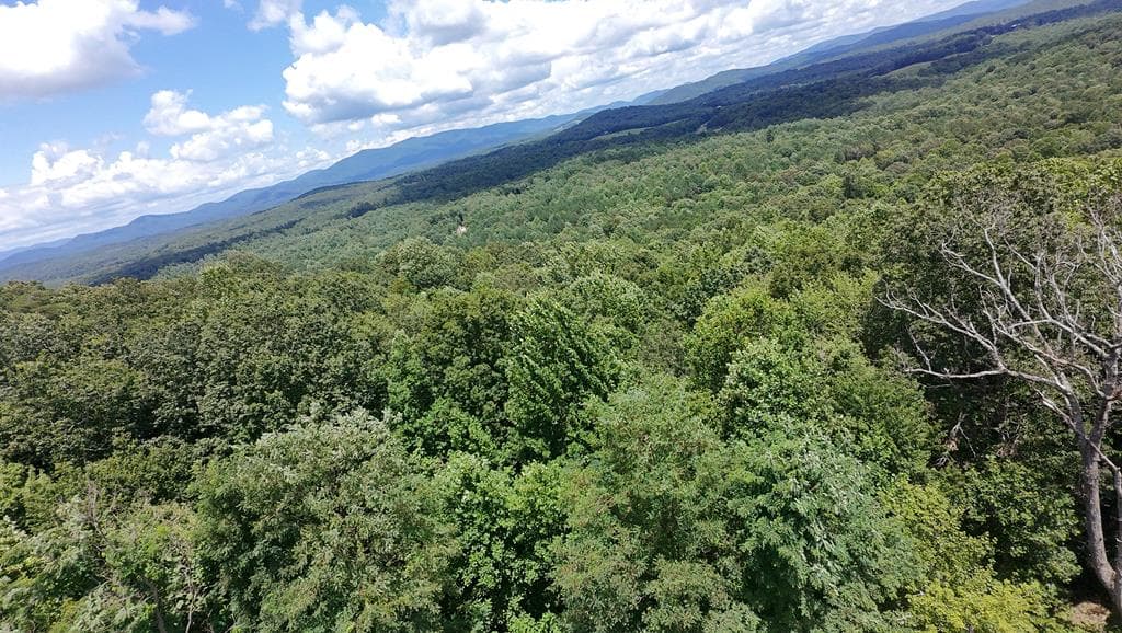 260 Running Bear Lane, Ellijay GA 30536 - Photo