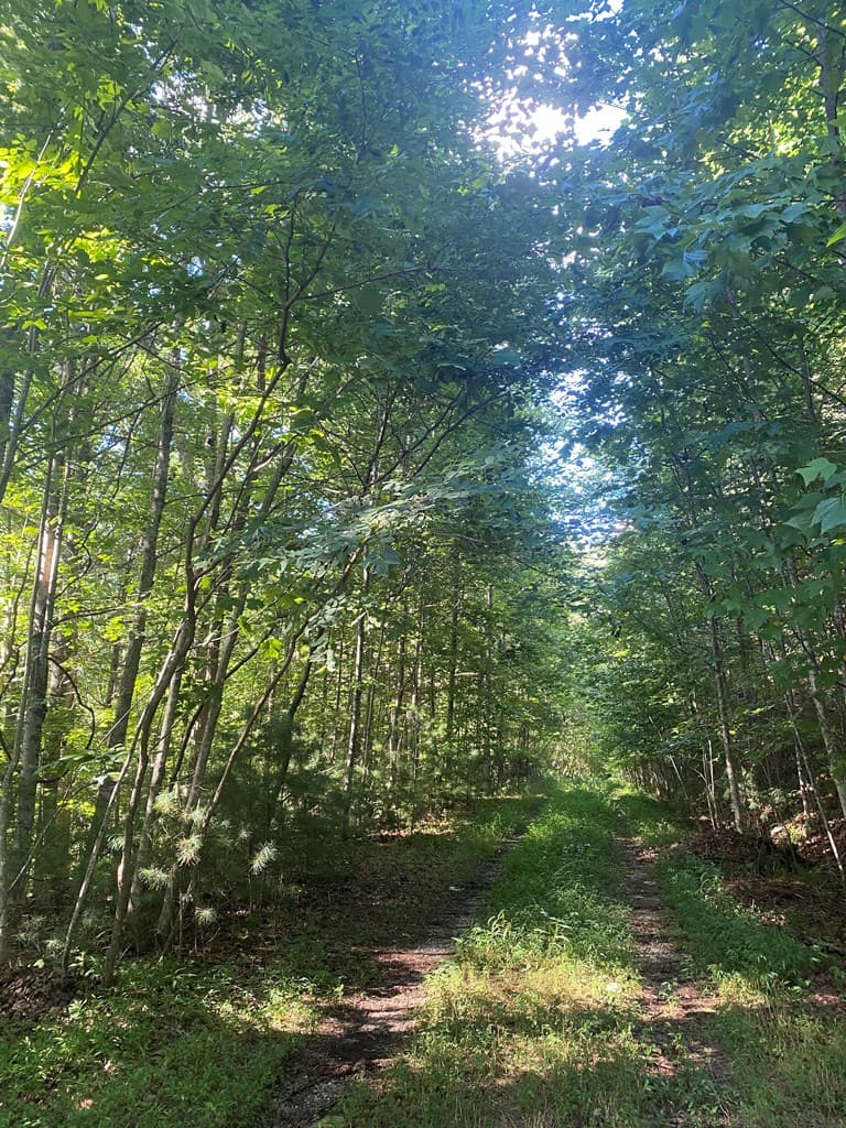 Lot 47 Mountain Top, Blairsville GA 30512 - Photo