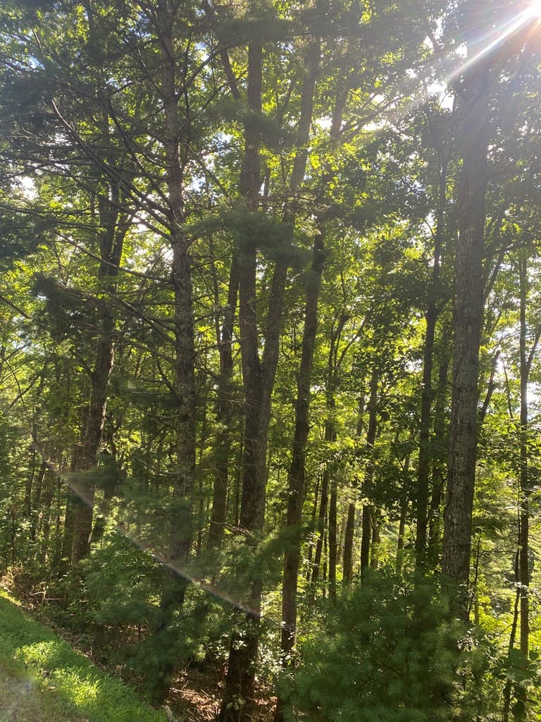 Lot 47 Mountain Top, Blairsville GA 30512 - Photo