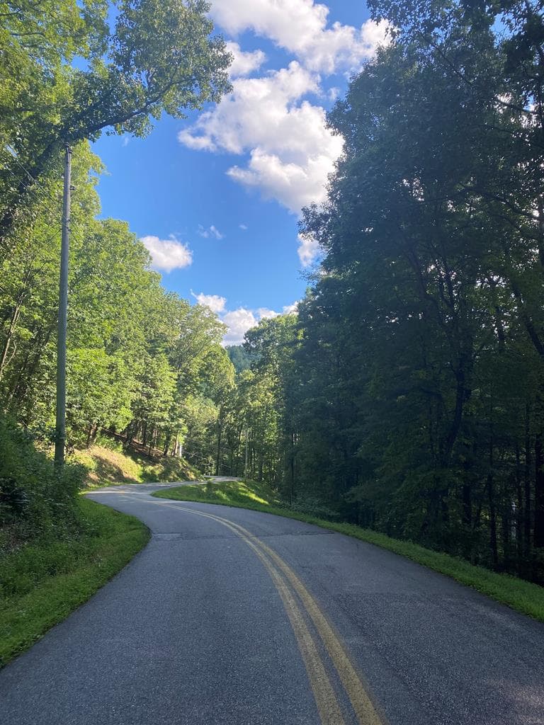Lot 47 Mountain Top, Blairsville GA 30512 - Primary photo