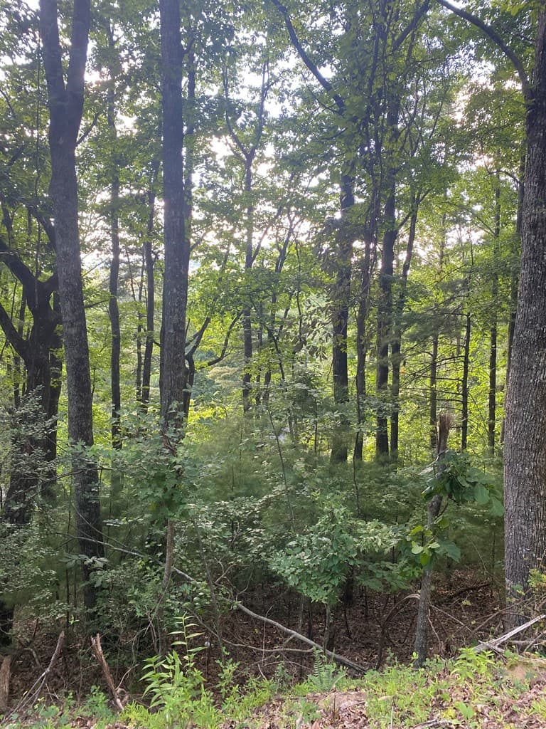 Lot 47 Mountain Top, Blairsville GA 30512 - Photo