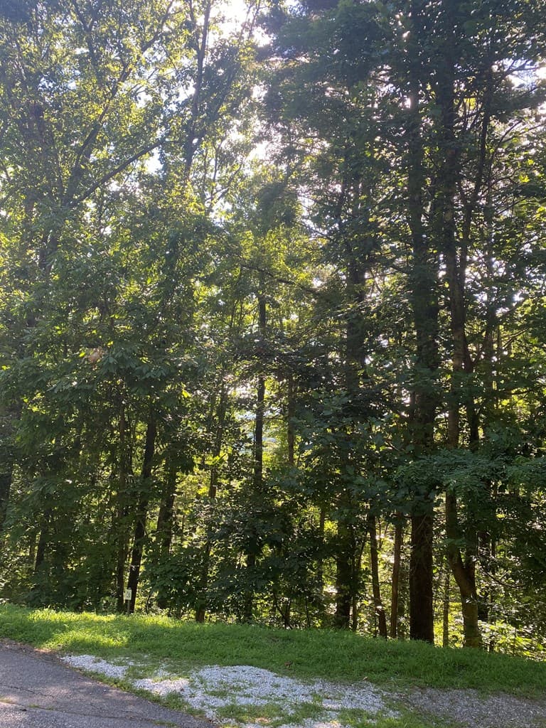 Lot 47 Mountain Top, Blairsville GA 30512 - Photo