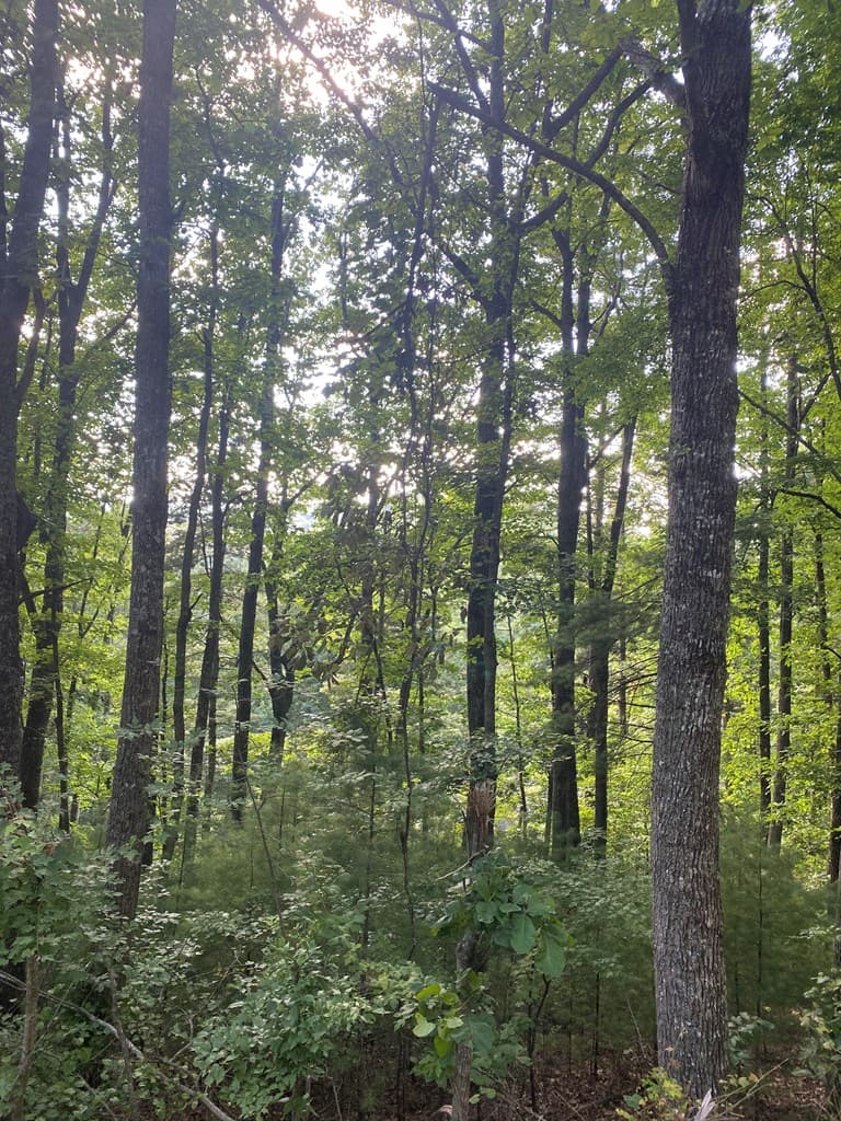 Lot 47 Mountain Top, Blairsville GA 30512 - Photo