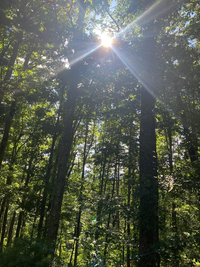 Lot 47 Mountain Top, Blairsville GA 30512 - Photo