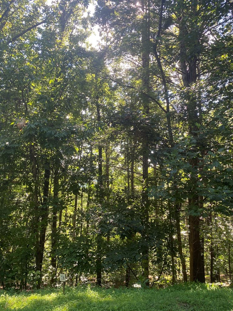 Lot 47 Mountain Top, Blairsville GA 30512 - Photo