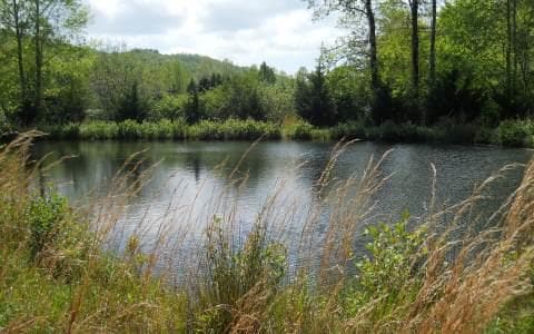 25 Tusquittee Crossing, Hayesville NC 28904 - Photo