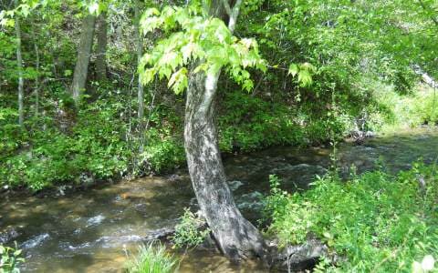 25 Tusquittee Crossing, Hayesville NC 28904 - Photo