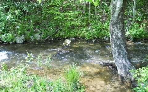 25 Tusquittee Crossing, Hayesville NC 28904 - Primary photo