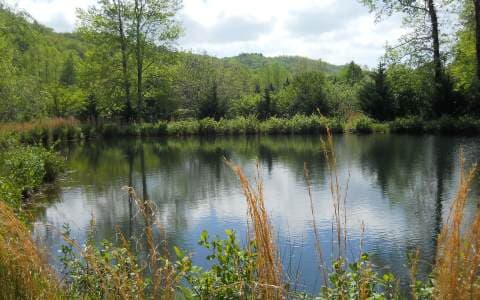 25 Tusquittee Crossing, Hayesville NC 28904 - Photo