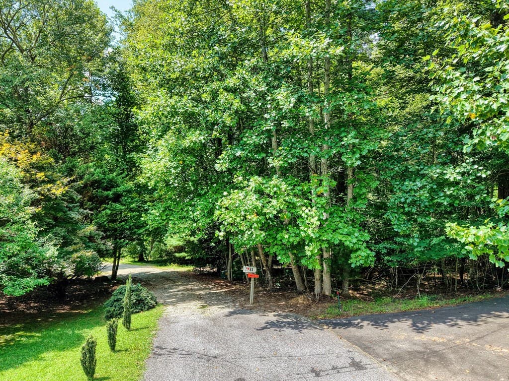L 10&16 Josie Drive, Blairsville GA 30512 - Photo