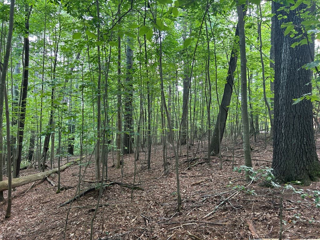 L 10&16 Josie Drive, Blairsville GA 30512 - Photo