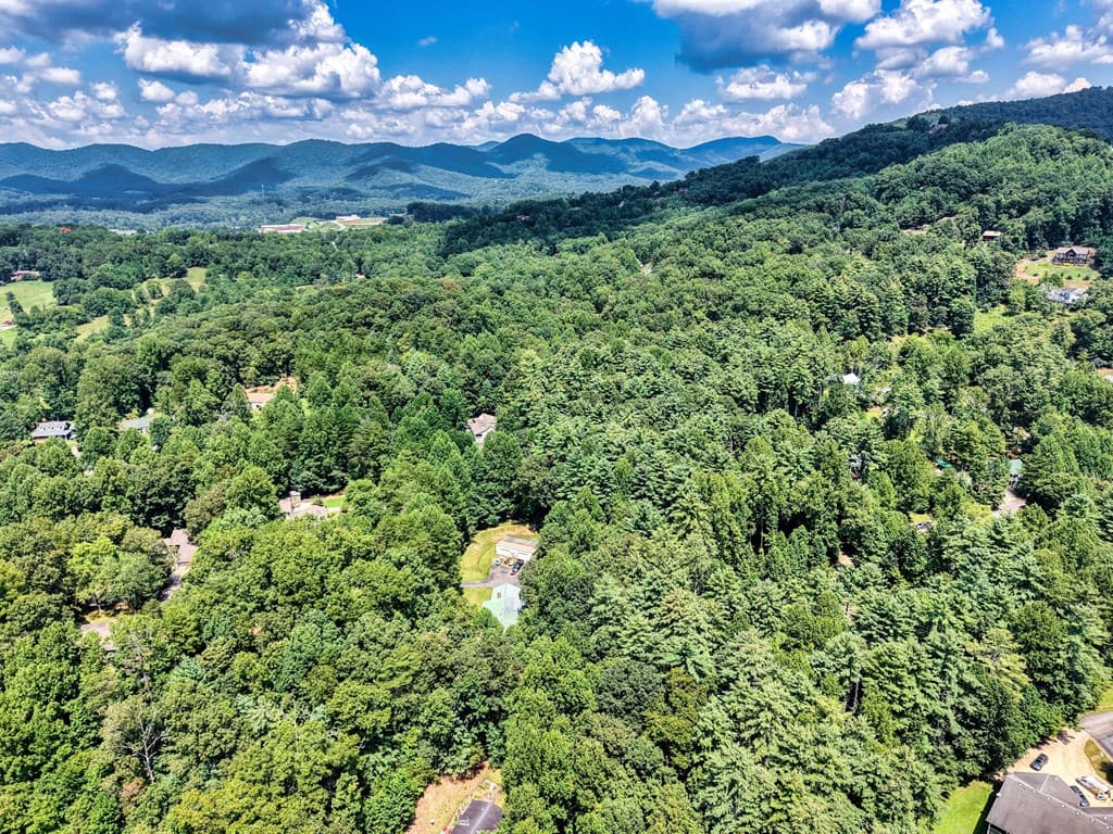 L 10&16 Josie Drive, Blairsville GA 30512 - Photo