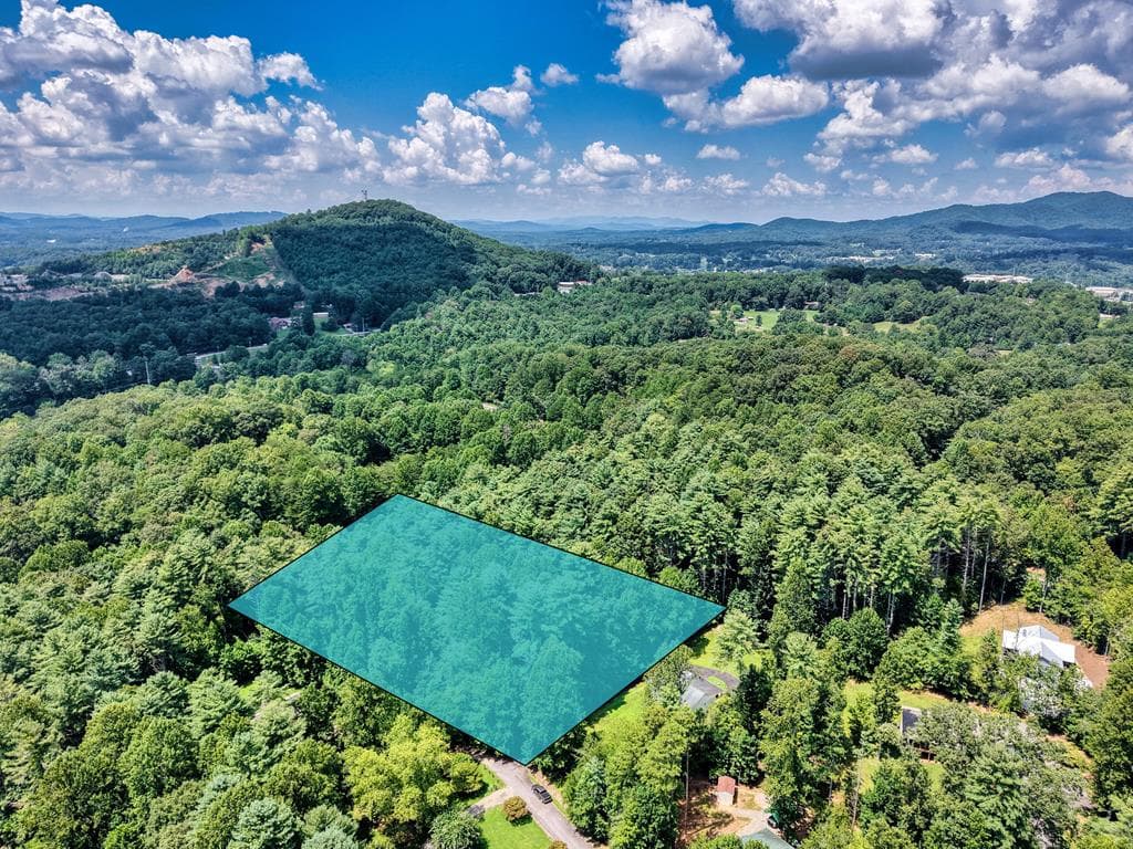 L 10&16 Josie Drive, Blairsville GA 30512 - Primary photo