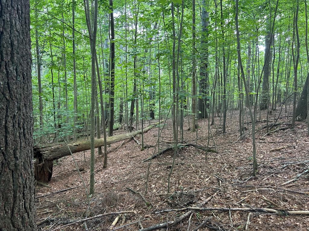 L 10&16 Josie Drive, Blairsville GA 30512 - Photo