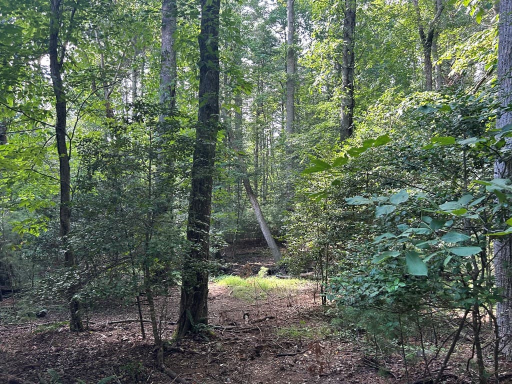 L 10&16 Josie Drive, Blairsville GA 30512 - Photo