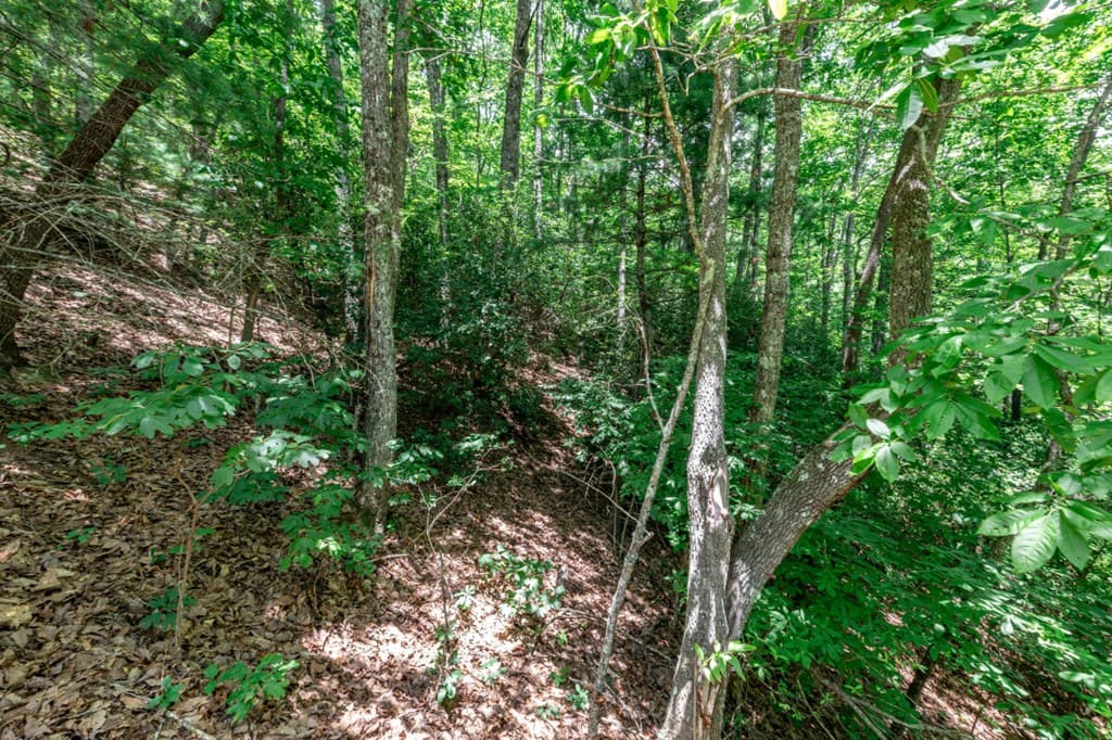 Lot 56 Indian Rock Springs, Murphy NC 28906 - Photo