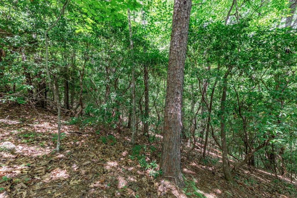 Lot 56 Indian Rock Springs, Murphy NC 28906 - Photo