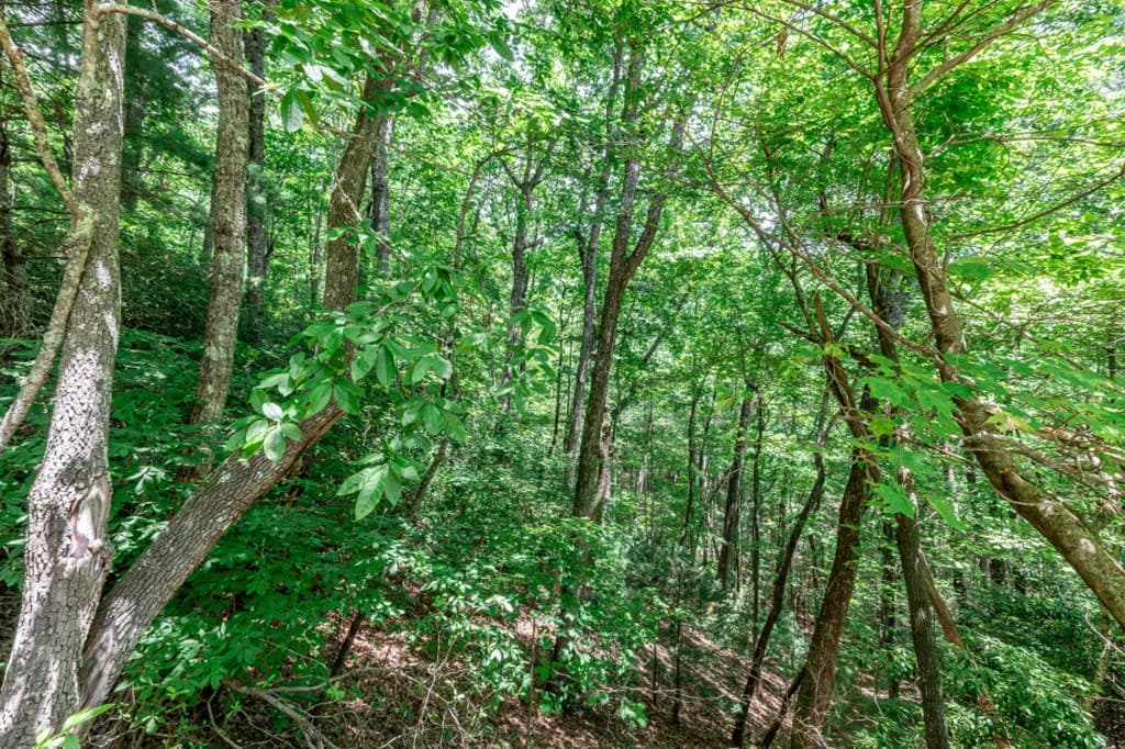 Lot 56 Indian Rock Springs, Murphy NC 28906 - Photo