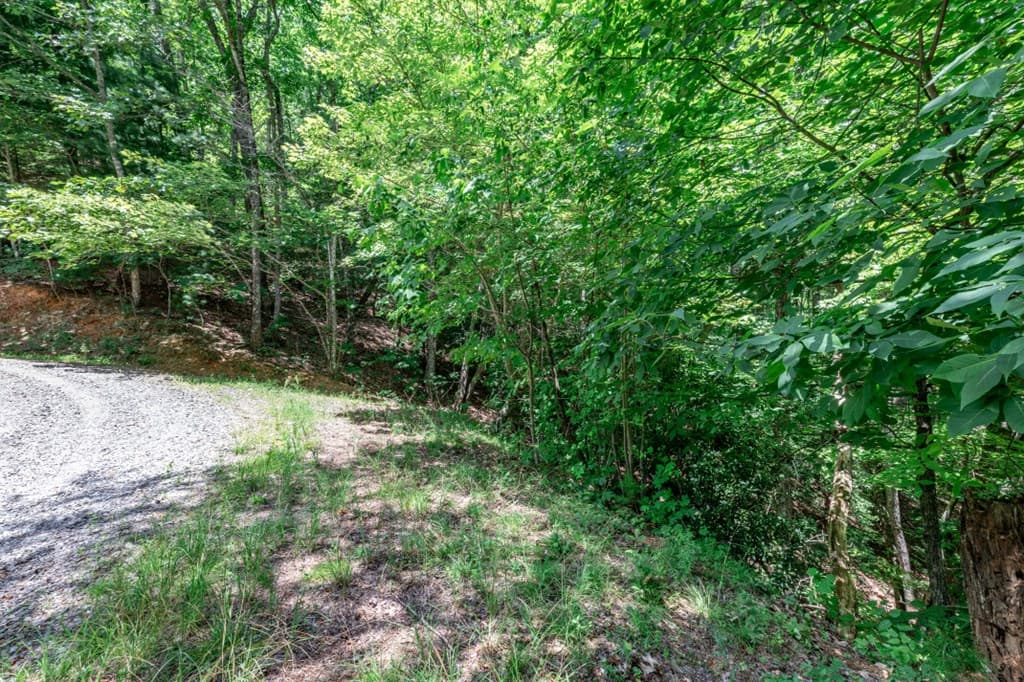 Lot 56 Indian Rock Springs, Murphy NC 28906 - Photo