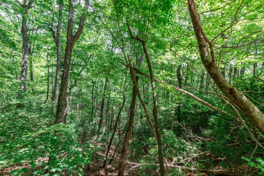 Lot 56 Indian Rock Springs, Murphy NC 28906 - Photo