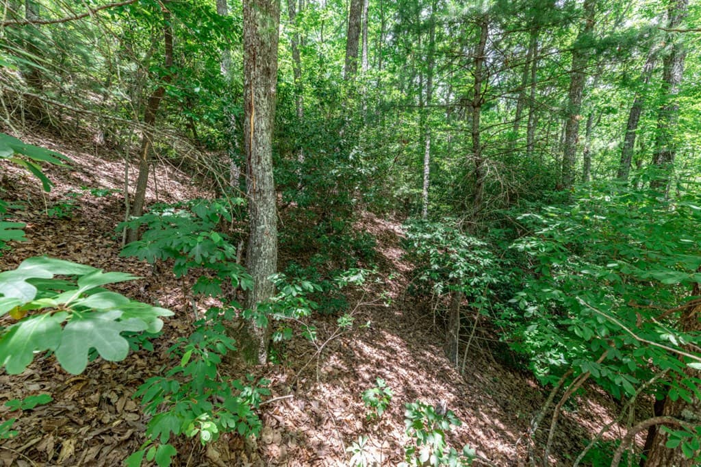 Lot 56 Indian Rock Springs, Murphy NC 28906 - Photo
