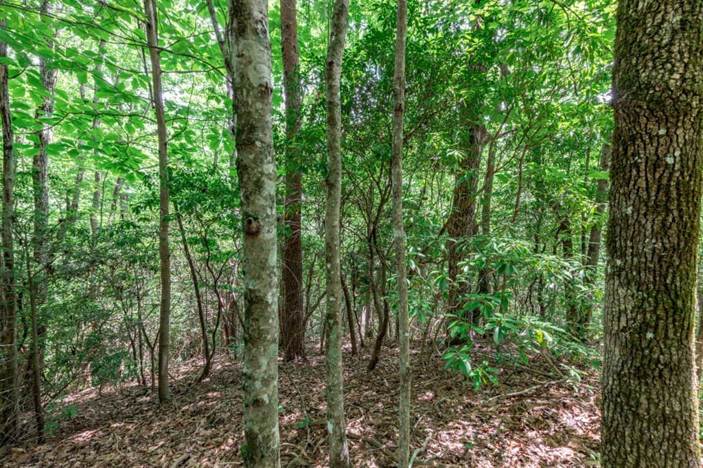Lot 56 Indian Rock Springs, Murphy NC 28906 - Photo