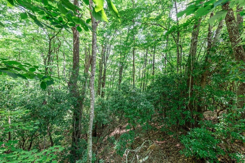 Lot 56 Indian Rock Springs, Murphy NC 28906 - Photo