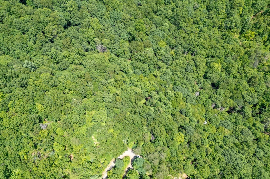 Lot 56 Indian Rock Springs, Murphy NC 28906 - Photo