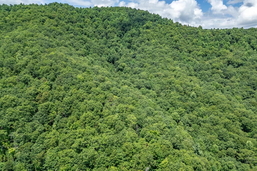 Lot 56 Indian Rock Springs, Murphy NC 28906 - Photo