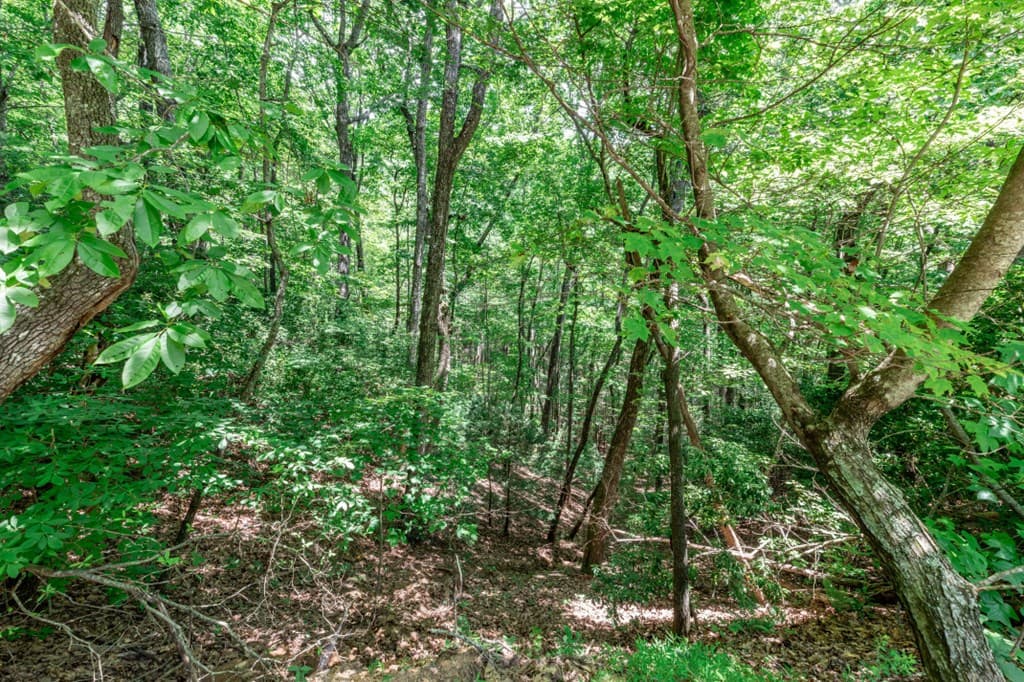 Lot 56 Indian Rock Springs, Murphy NC 28906 - Photo