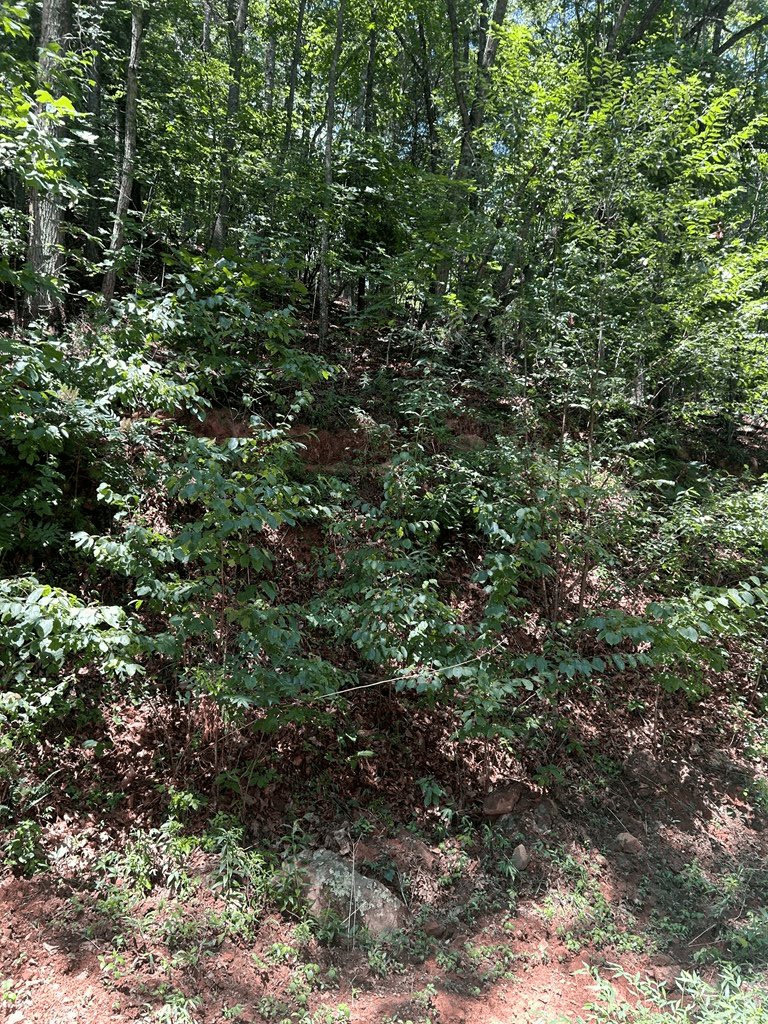 0 Skyview Acres Drive, Murphy NC 28906 - Photo