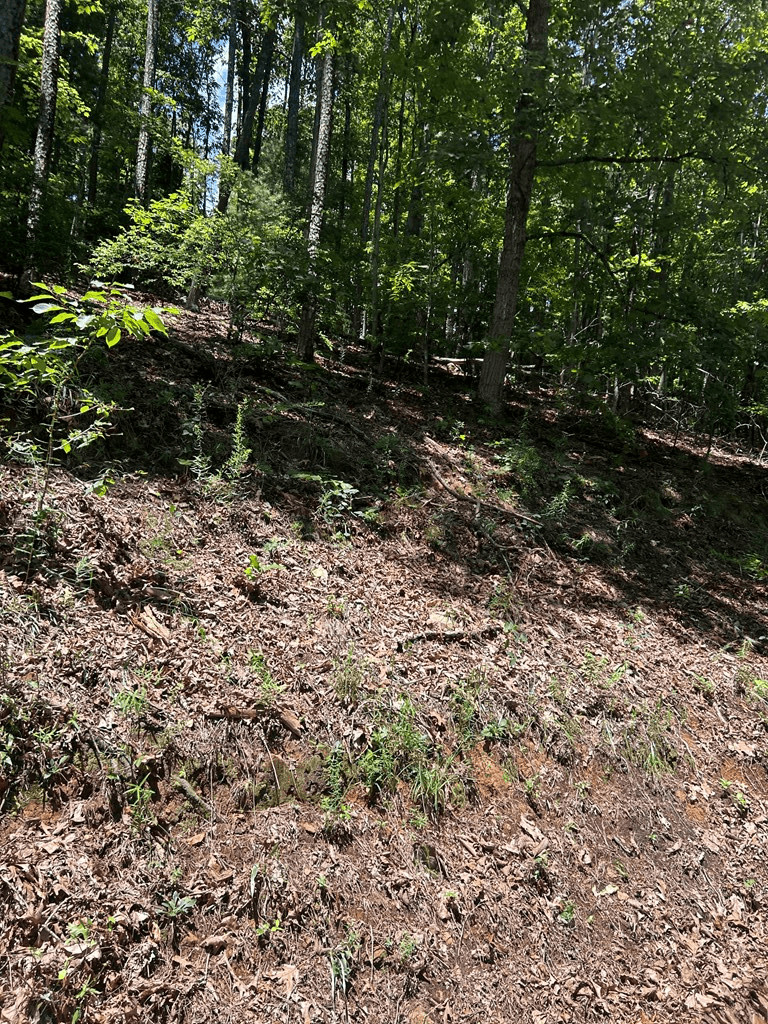 0 Skyview Acres Drive, Murphy NC 28906 - Photo