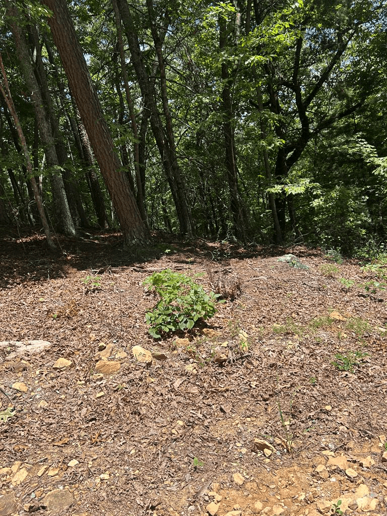 0 Skyview Acres Drive, Murphy NC 28906 - Primary photo