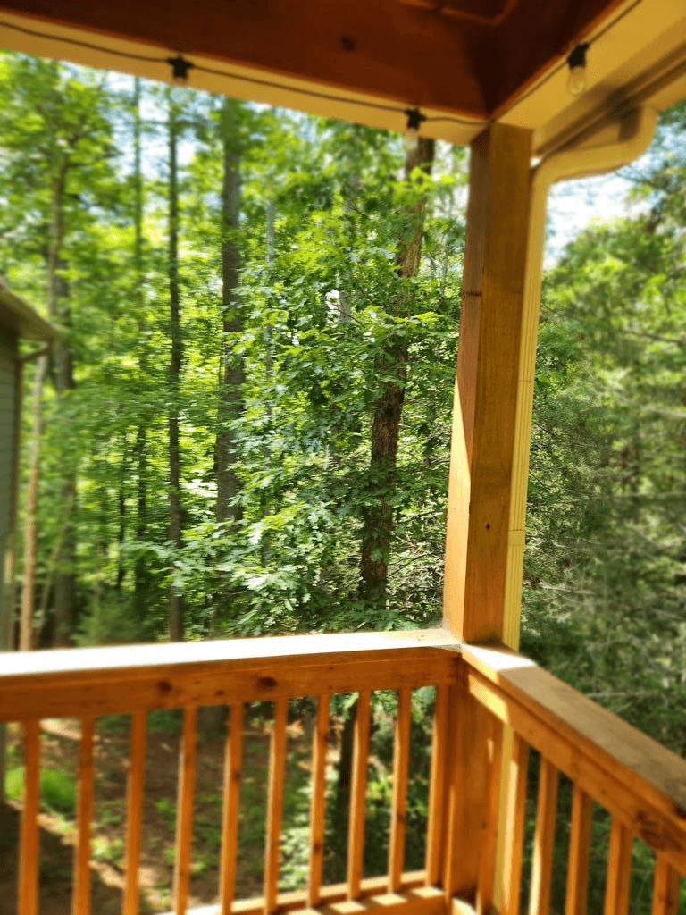 60 Hickory Lane, Ellijay GA 30540 - Photo