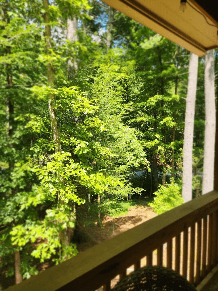 60 Hickory Lane, Ellijay GA 30540 - Photo