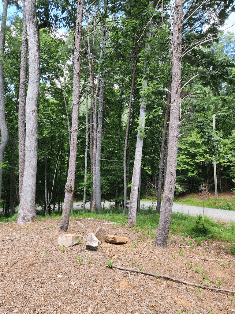 60 Hickory Lane, Ellijay GA 30540 - Photo