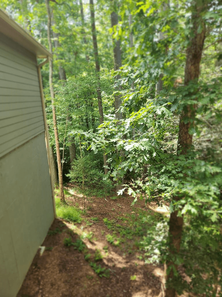 60 Hickory Lane, Ellijay GA 30540 - Photo