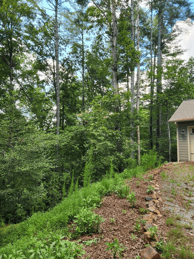 60 Hickory Lane, Ellijay GA 30540 - Photo