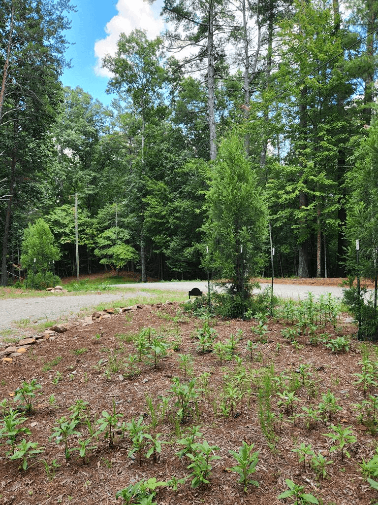 60 Hickory Lane, Ellijay GA 30540 - Photo