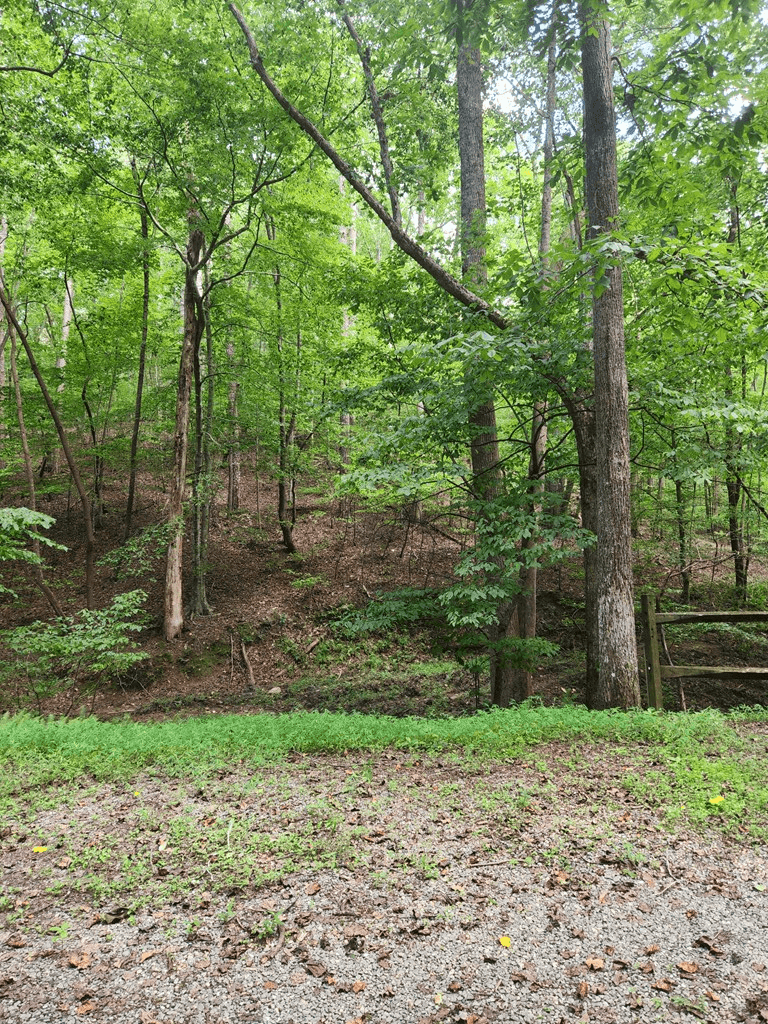 Lot 133 Shiloh Court, Ellijay GA 30540 - Photo