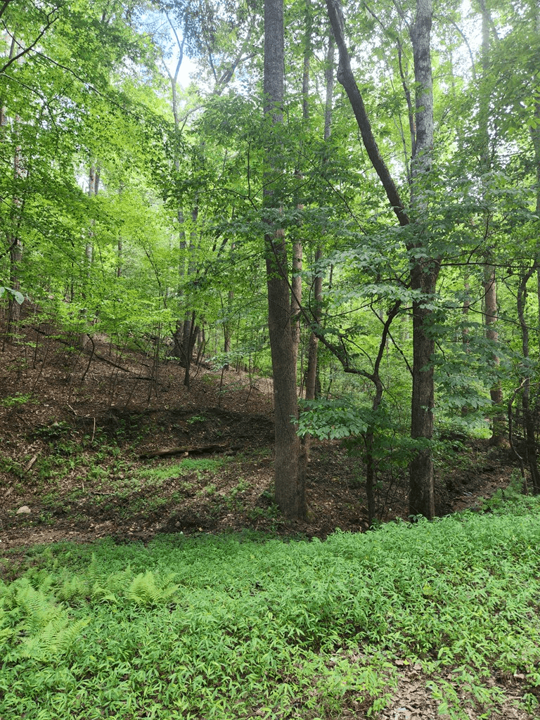 Lot 133 Shiloh Court, Ellijay GA 30540 - Photo