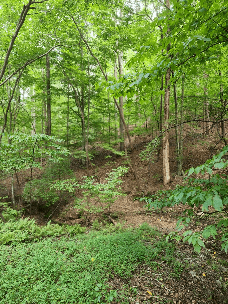 Lot 133 Shiloh Court, Ellijay GA 30540 - Photo