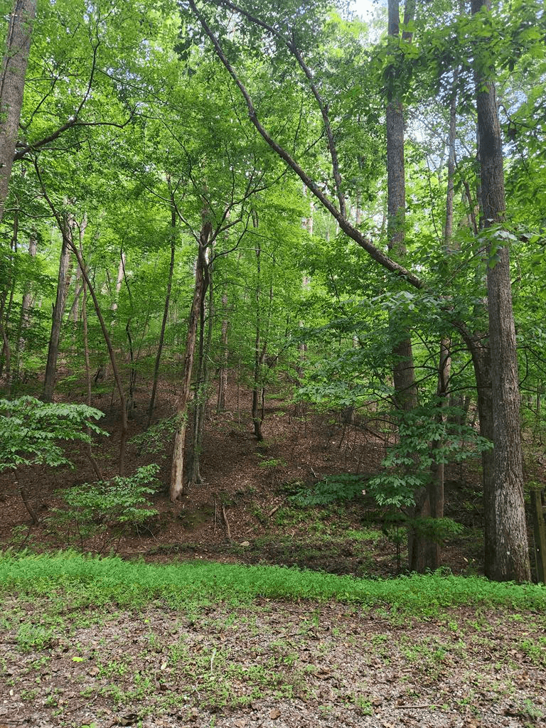 Lot 133 Shiloh Court, Ellijay GA 30540 - Primary photo