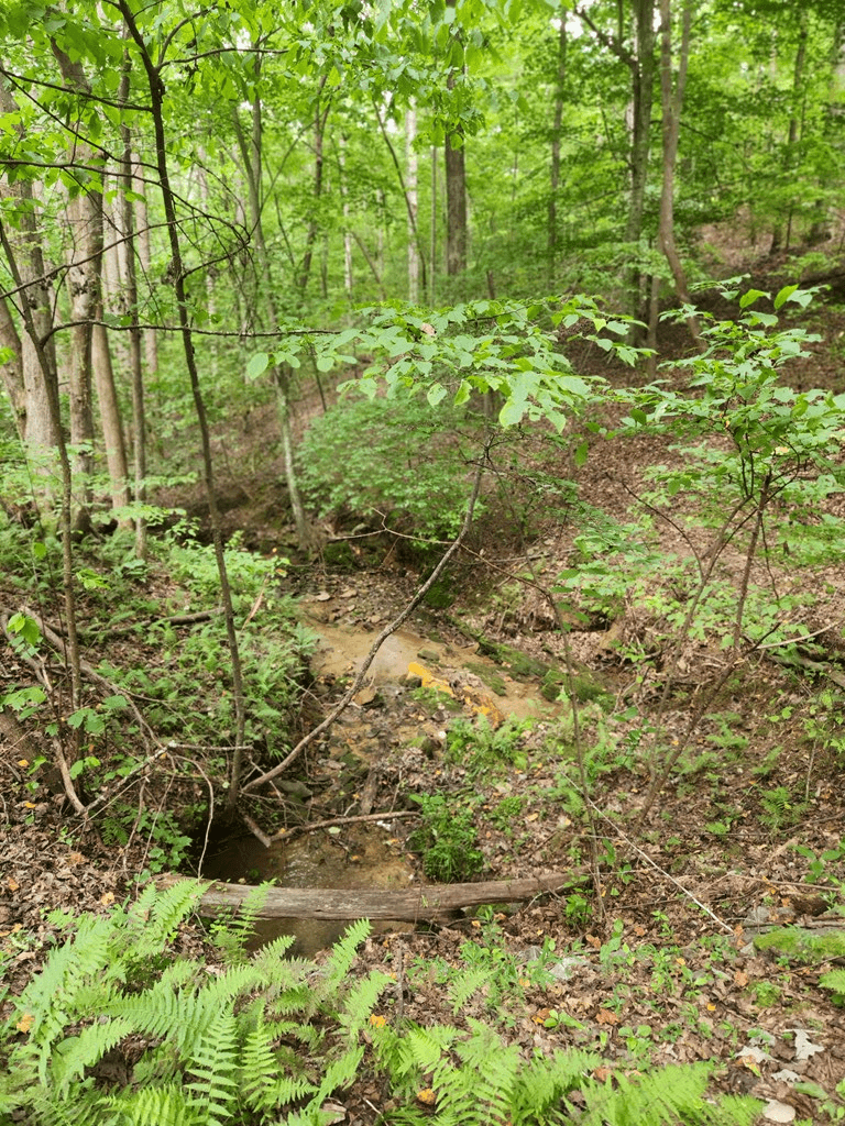 Lot 133 Shiloh Court, Ellijay GA 30540 - Photo
